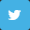 social-icons