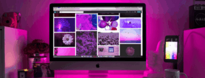 How profitable is a Web development business?