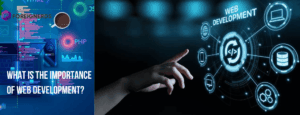 WHAT IS THE IMPORTANCE OF WEB DEVELOPMENT?