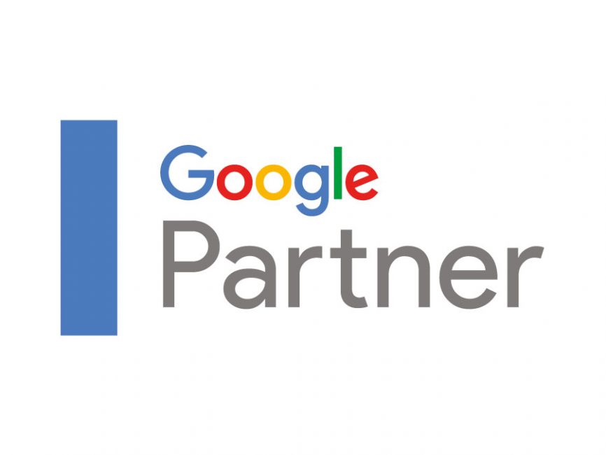 Google Partner Setup 